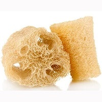 Пахима кокоса