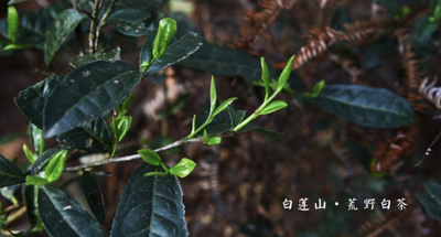 Немного истории.