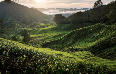 Природные секреты здоровья.