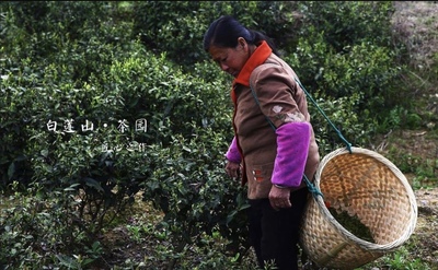 Детокс - как правильно перезагрузить свой организм.