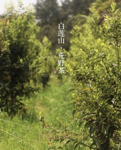 Китай. Продолжение традиций.