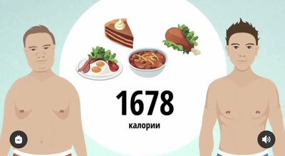 Основы диеты.