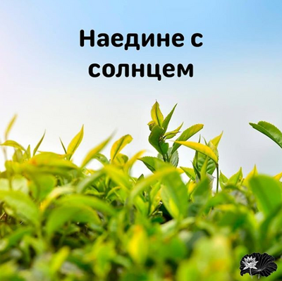 Наедине с солнцем